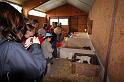 b - A la ferme (11)